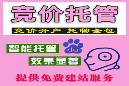 百度推广运营成功故事：品牌与效果的双重胜利